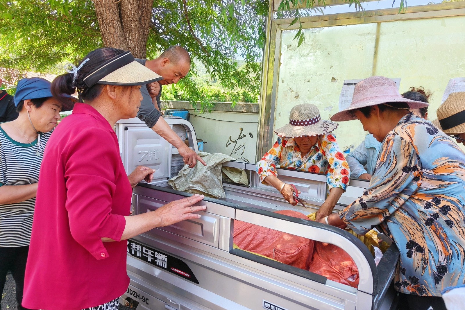 2圖為村民爭先恐后地為剛剛送到的豬寶寶松梆